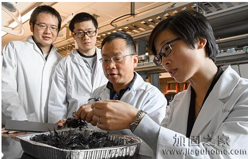 碳纖維材料研究團(tuán)隊(duì)