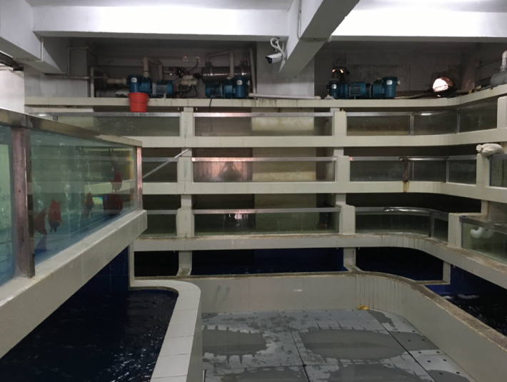 1511332321238323.jpg 1511332296(1).jpg