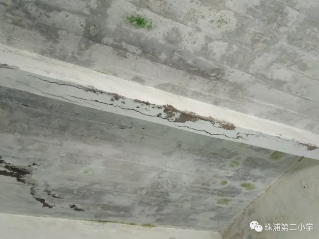 珠浦第二小學(xué)鑒定過(guò)程照片