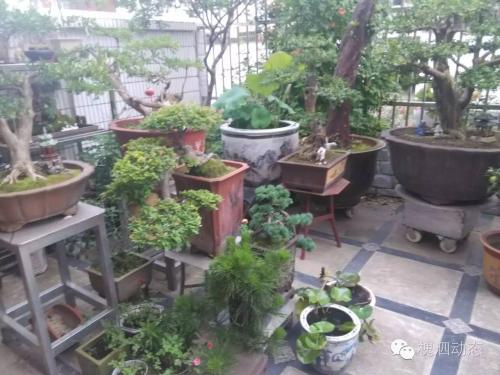 1531715491997783.jpg u=3249101208,1357147080&fm=27&gp=0.jpg