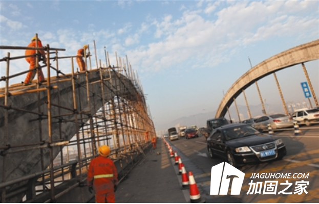 百萬(wàn)螞蟻建懸空橋，橋梁加固如何進(jìn)行?