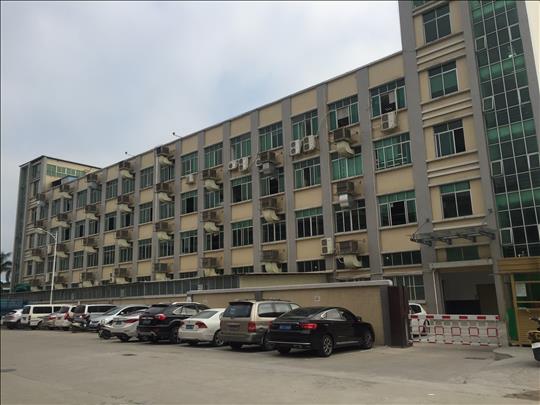 1535980384343091.jpg IMG_8389.JPG