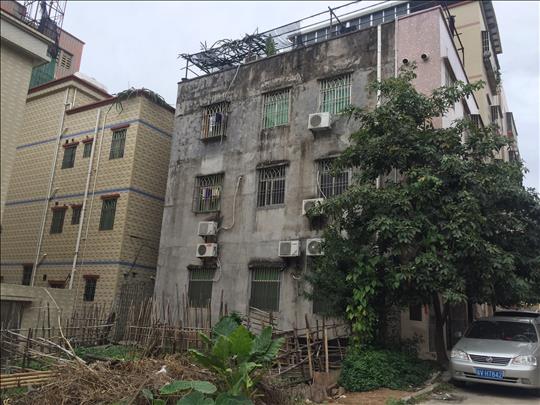 1536055141610323.jpg IMG_8493.JPG