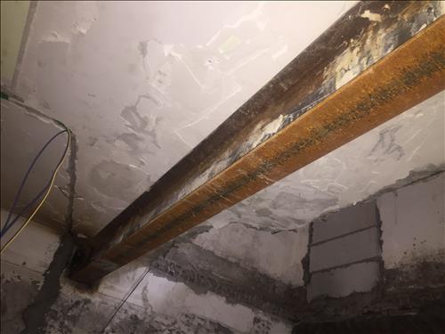 1536843646513827.jpg IMG_7728.JPG