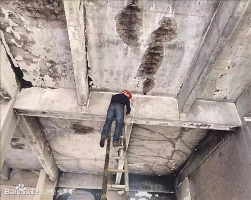 1538175291954624.jpg 2fc75b88d43f87943def9f7ede1b0ef41ad53ad5.jpg