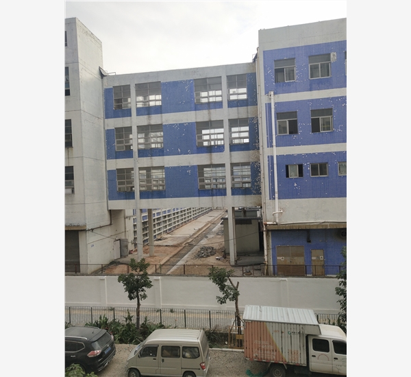 1541461298657457.jpg IMG_20181101_165442.jpg