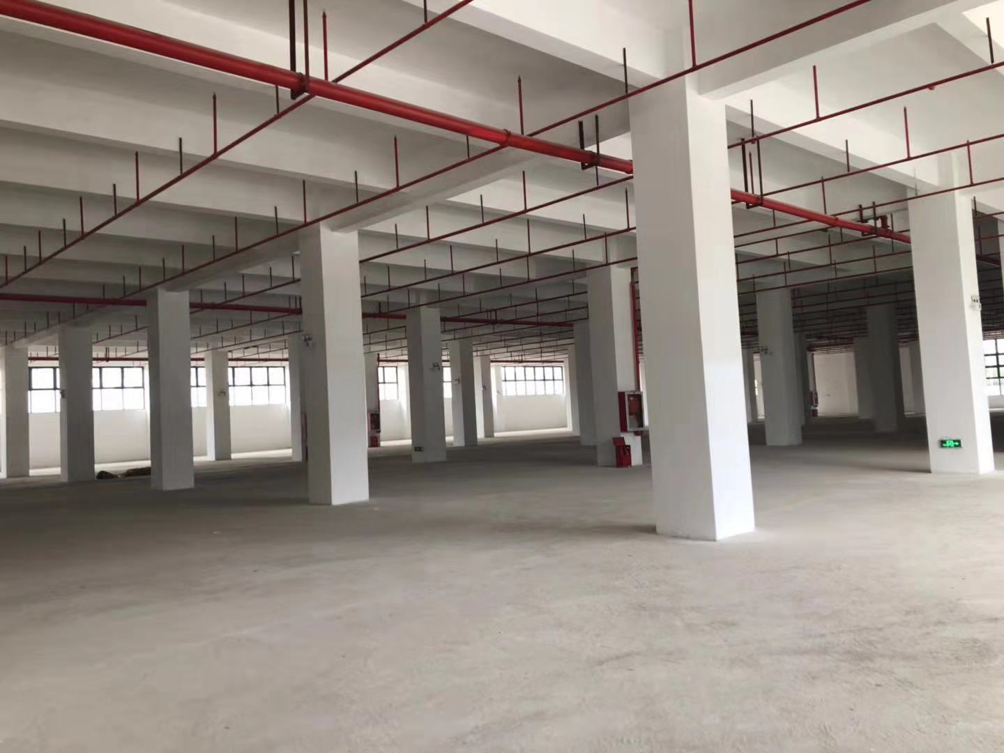 1541723619247802.jpg 695230508186837941.jpg