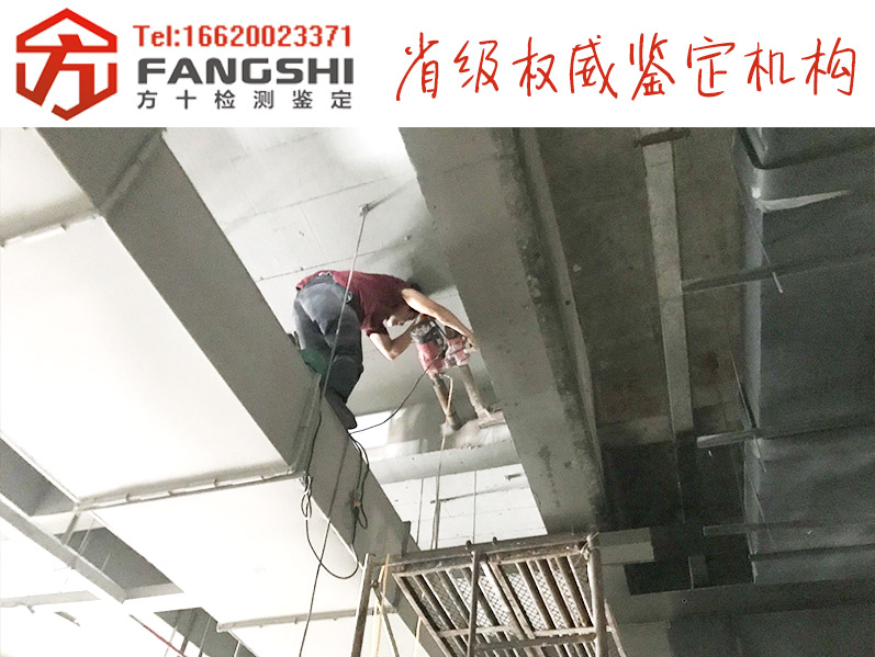 1555130969410818.jpg 12.jpg