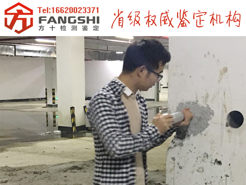 1555131555250976.jpg 1.jpg