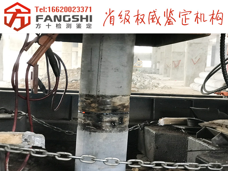 1555399338264273.jpg 6.jpg