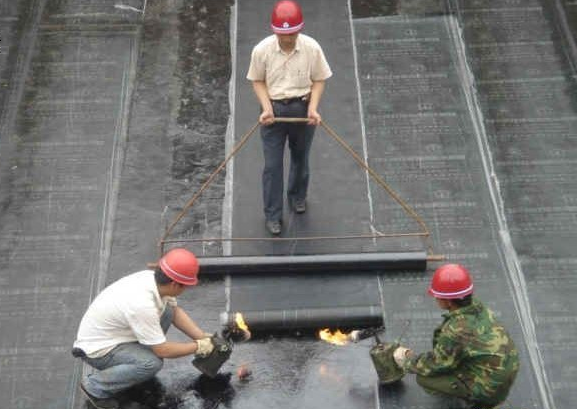 1555577225841224.jpg 1555390996.jpg