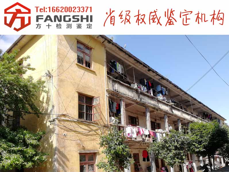 1556011607371269.jpg 50.jpg