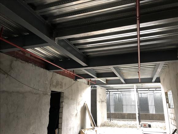 1556019116186834.jpg 550068778832477512.jpg