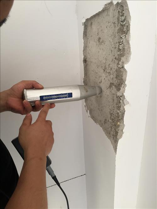 1556154944410349.jpg IMG_7253.JPG