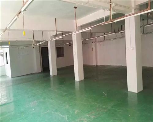 1556245115654549.jpg mmexport1501060331435.jpg