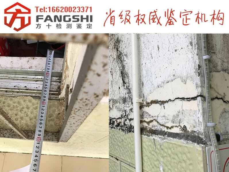 1557306947132623.jpg 25.jpg