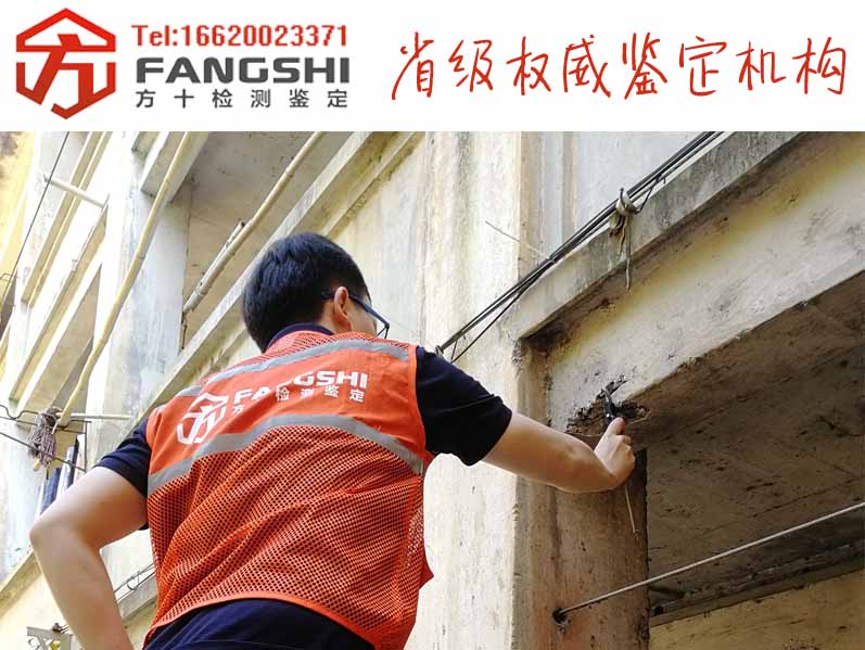 1557479847353452.jpg 47.jpg