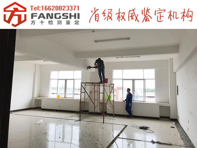 1557825141879785.jpg 41.jpg