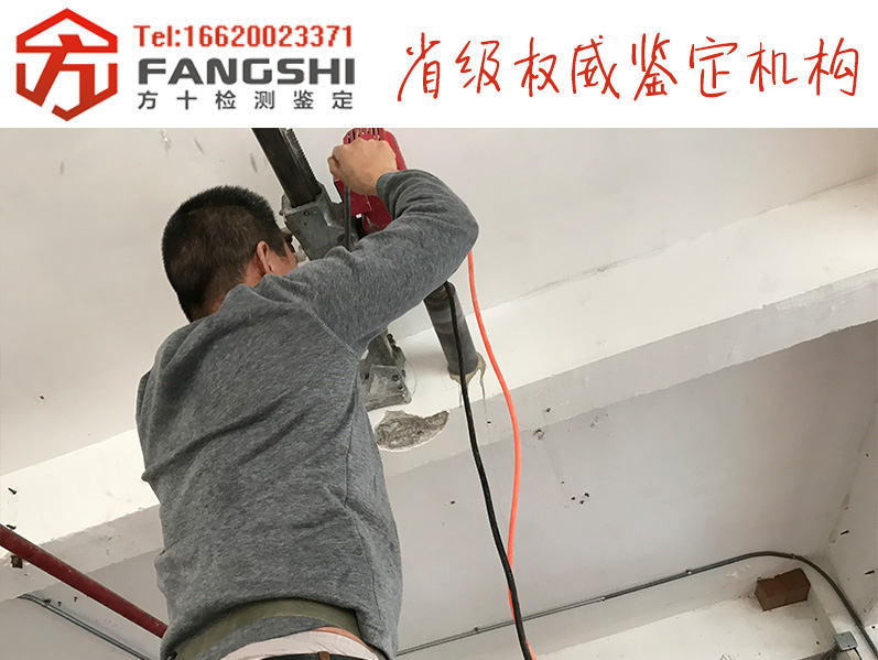 1558512533557421.jpg 23.jpg