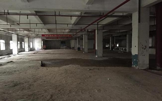 1560755273153949.jpg 15.jpg