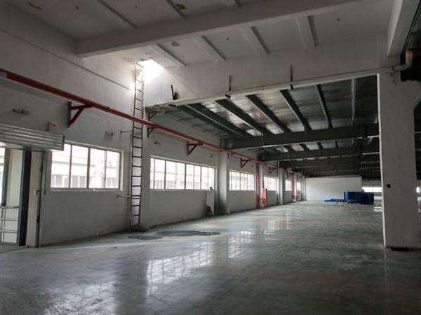 1560777858855982.jpg 15.jpg