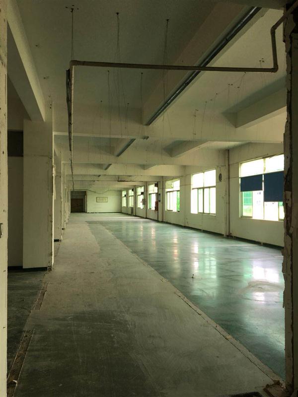 1561622119571946.jpg 636895361405071251.jpg