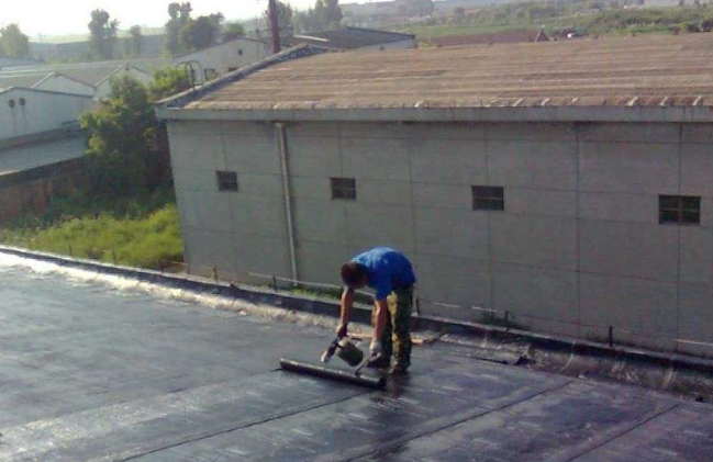 1561969387477011.jpg 1561969124(1).jpg