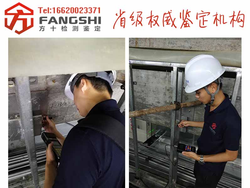 1561972329873479.jpg 67.jpg