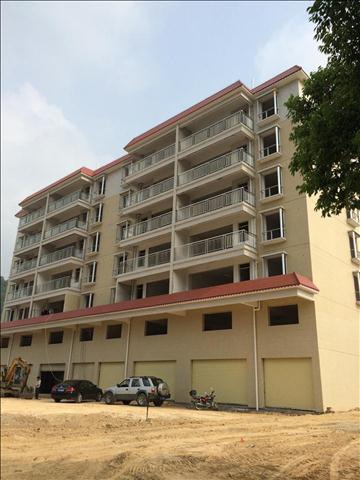 1562054124816093.jpg 12126517.jpg