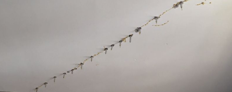 樓板漏水可怎么辦？