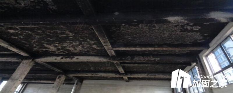 廠房檢測-災后報告