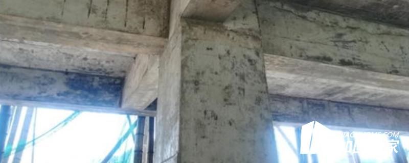 廠房檢測鑒定主要工作內(nèi)容包括