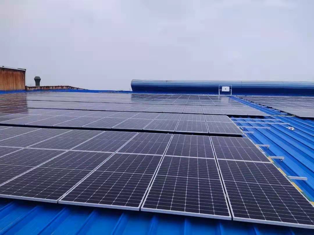 1649408939578207.jpg 1be87fe49fdad5b7d71401e80c54170.jpg