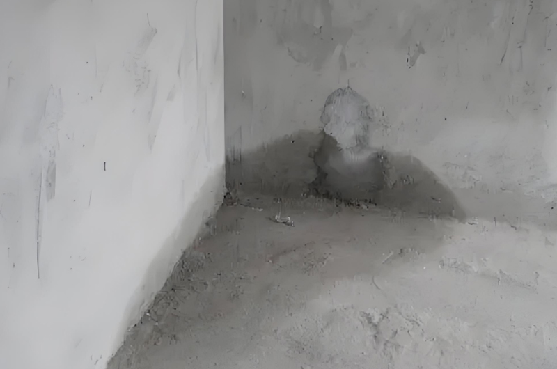 房屋漏水怎樣修補(bǔ)