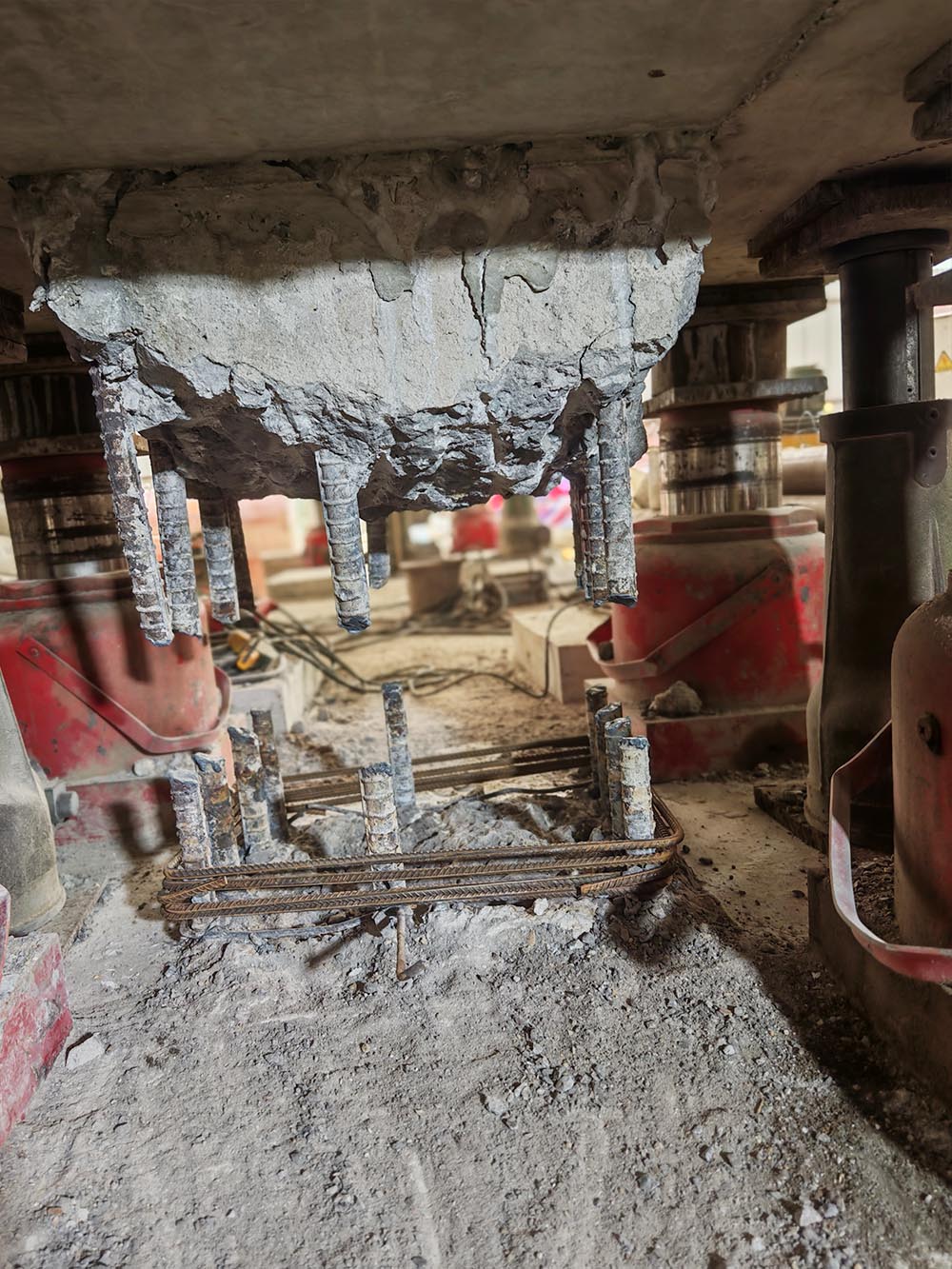 1758852312210907.jpg 444.jpg